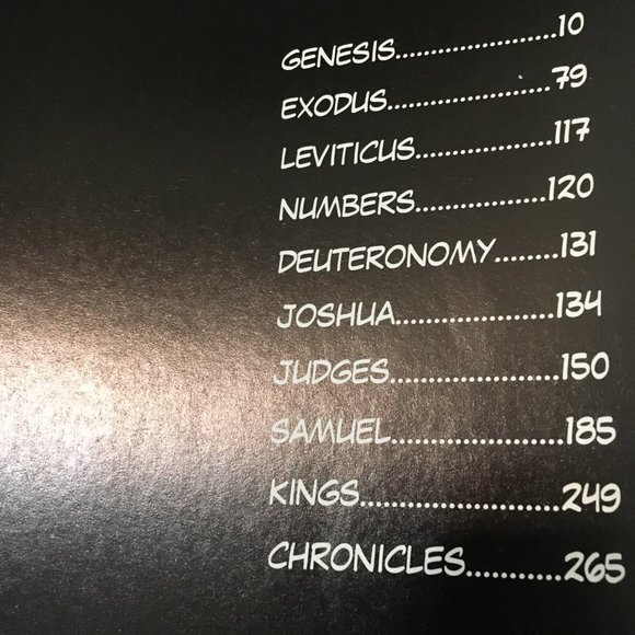 The Brick Bible - A New Spin on the Old Testament - Picture 3 of 13